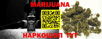 прущие грибы Будённовск