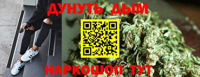 прущие грибы Будённовск